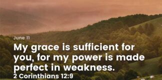 Strengthen Faith in God’s Power – Daily Devotional for June 11 Strengthen Faith in God's Power daily Devotional for June 11