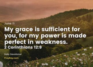 Strengthen Faith in God’s Power – Daily Devotional for June 11 Strengthen Faith in God's Power daily Devotional for June 11