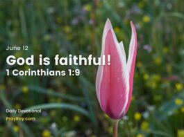 finding Strength in God's Faithfulness