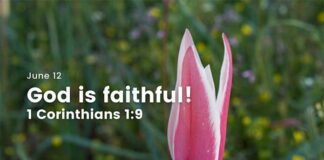 Finding Strength in Faithfulness – Daily Devotional for June 12 finding Strength in God's Faithfulness