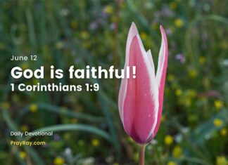 Finding Strength in Faithfulness – Daily Devotional for June 12 finding Strength in God's Faithfulness