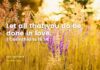 Radical Love – Daily Devotional for June 14 Radical Love daily Devotional for June 14