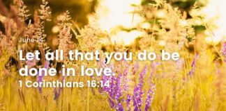Radical Love – Daily Devotional for June 14 Radical Love daily Devotional for June 14