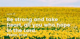 Cultivate Hope – Daily Devotional for June 16 Cultivate Hope daily Devotional for June 16