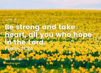 Cultivate Hope – Daily Devotional for June 16 Cultivate Hope daily Devotional for June 16