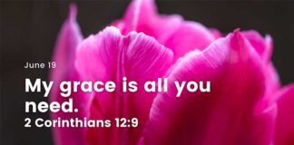 Seek Strength and Encouragement in Christ – Devotional June 19 Seek Strength and Encouragement in Christ devotional June 19