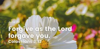 Love and Forgiveness – Daily Devotional for June 20 Love and Forgiveness daily Devotional for June 20