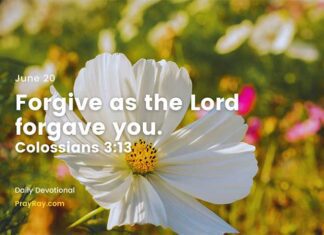 Love and Forgiveness – Daily Devotional for June 20 Love and Forgiveness daily Devotional for June 20