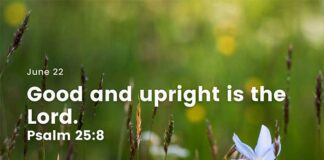 See the Goodness of God – Daily Devotional for June 22 See the Goodness of God daily Devotional for June 22