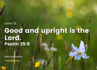 See the Goodness of God – Daily Devotional for June 22 See the Goodness of God daily Devotional for June 22