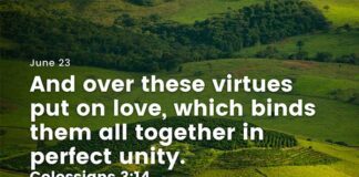 Love in Community – Daily Devotional for June 23 Love in Community daily Devotional for June 23
