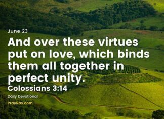 Love in Community – Daily Devotional for June 23 Love in Community daily Devotional for June 23