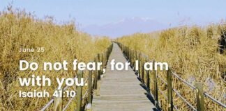 Trusting in His Grace for Your Future – Daily Devotional for June 25 Trusting in His Grace for Your Future daily Devotional for June 25