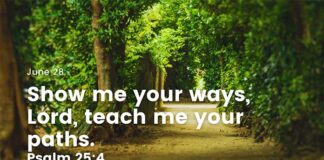 How to Recognize God’s Will in Your Life – Devotional for June 28 How to recognize God's will in your life devotional for June 28