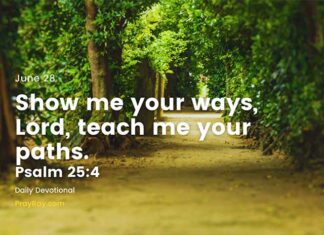 How to Recognize God’s Will in Your Life – Devotional for June 28 How to recognize God's will in your life devotional for June 28