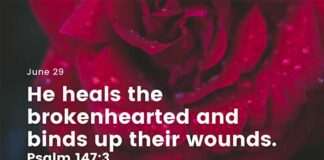 How to Heal a Broken Heart – Daily Devotional for June 29 How to Heal a Broken Heart daily Devotional for June 29