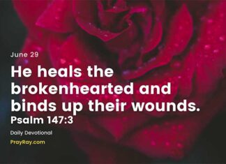 How to Heal a Broken Heart – Daily Devotional for June 29 How to Heal a Broken Heart daily Devotional for June 29