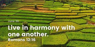 Love and Unity – Daily Devotional for June 30 Love and Unity Daily Devotional for June 30
