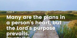 Recognize Reality – Daily Devotional for June 4 Recognize reality daily devotional