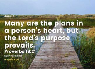 Recognize Reality – Daily Devotional for June 4 Recognize reality daily devotional
