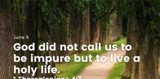The Vision of the Kingdom of Heaven – Daily Devotional for June 5 Vision of the kingdom of Heaven daily devotional