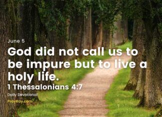 The Vision of the Kingdom of Heaven – Daily Devotional for June 5 Vision of the kingdom of Heaven daily devotional