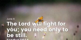 Let God manifest in your life – Daily Devotional for June 6 Let God manifest in your life daily devotional for June 6
