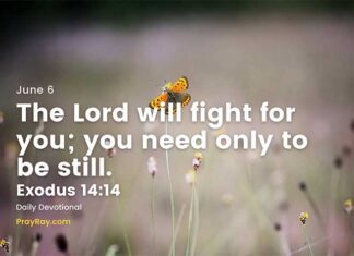 Let God manifest in your life – Daily Devotional for June 6 Let God manifest in your life daily devotional for June 6