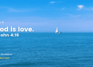 Don’t be afraid of Love – Daily Devotional for July 6 Don't be afraid of Love daily Devotional for July 6