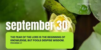 Walk in the Light of God’s Wisdom – Devotional for September 30 Walk in the Light of God's Wisdom devotional for September 30