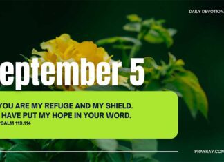 Find Hope and Assurance in God’s Word – Devotional September 5 Find Hope and Assurance in God's Word daily devotional September 5