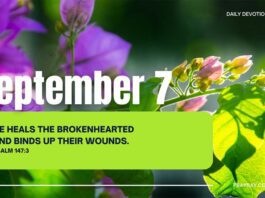 Seek God's Wholeness in Body, Mind, and Spirit daily devotional for September 7