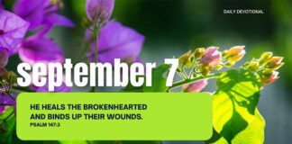 Seek God’s Wholeness in Body, Mind, and Spirit – for September 7 Seek God's Wholeness in Body, Mind, and Spirit daily devotional for September 7