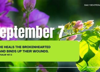 Seek God’s Wholeness in Body, Mind, and Spirit – for September 7 Seek God's Wholeness in Body, Mind, and Spirit daily devotional for September 7