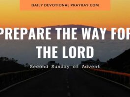 Second Sunday of Advent 2023 prepare the Way for the Lord