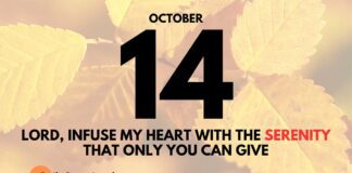 The Peace of Christ in Your Soul – Daily Devotional for October 14 The Peace of Christ in Your Soul daily Devotional for October 14