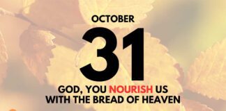 The Bread of Life for Our Souls – Daily Devotional for October 31 Jesus the Bread of Life for our Souls daily Devotional for October 31