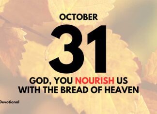 The Bread of Life for Our Souls – Daily Devotional for October 31 Jesus the Bread of Life for our Souls daily Devotional for October 31
