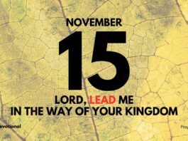 Seek The Kingdom First daily Devotional for November 15