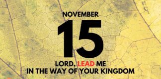 Seek The Kingdom First – Daily Devotional for November 15 Seek The Kingdom First daily Devotional for November 15