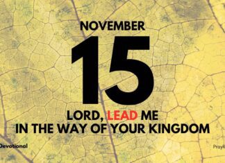 Seek The Kingdom First – Daily Devotional for November 15 Seek The Kingdom First daily Devotional for November 15