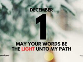 Clinging to Christ's Eternal Words devotional for December 1