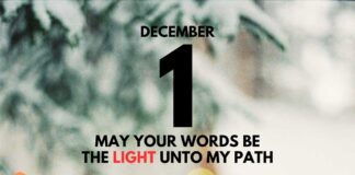 Clinging to Christ’s Eternal Words – Devotional for December 1 Clinging to Christ's Eternal Words devotional for December 1