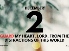 Guarding Our Hearts devotional for December 2