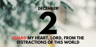 Guarding Our Hearts – Devotional for December 2 Guarding Our Hearts devotional for December 2