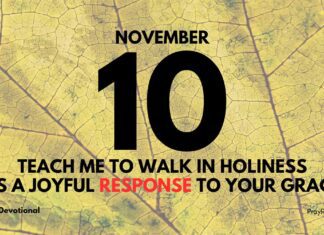 The Pursuit of Holiness – Daily Devotional for November 10 The Pursuit of Holiness daily Devotional for November 10