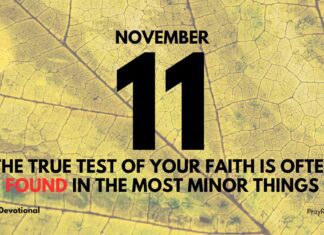 Faithfulness in the Small Things – Daily Devotional for November 11 Faithfulness in the Small Things daily Devotional for November 11