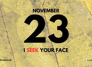 The Blessing of Waiting – Daily Devotional for November 23 The Blessing of Waiting daily Devotional for November 23