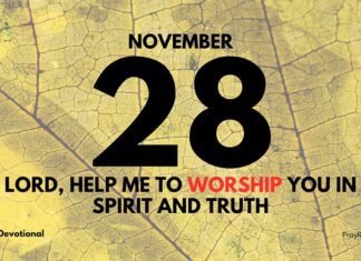 Elevating Our Worship – Devotional for November 28 Elevating Our Worship devotional for November 28