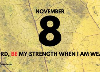 God Will Not Abandon You – Daily Devotional for November 8 God Will Not Abandon You daily Devotional for November 8